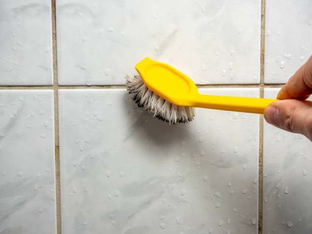 Best Mold Testing  in Hamlin, TX