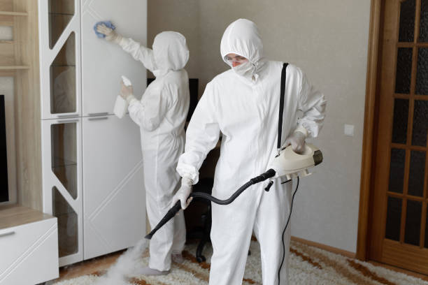 Trusted Hamlin, TX Mold Removal Experts