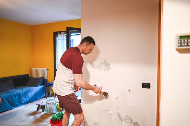 Best Mold Removal Near Me  in Hamlin, TX